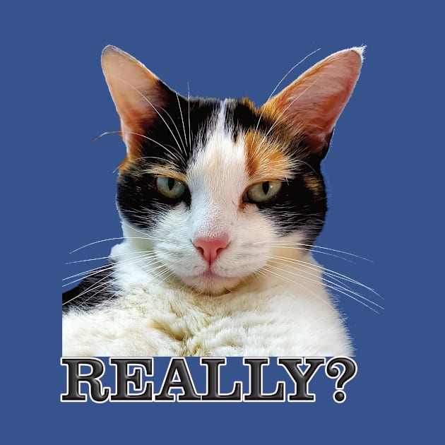 Cute Calico Cat with Attitude – Really? by Captain Peter Designs