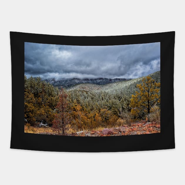 Storm On The Mountain Tapestry by JimDeFazioPhotography