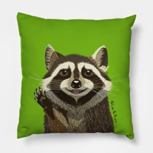 Smiley Face Raccoon Pillow