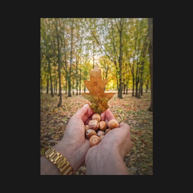 autumn walk in the oak forest by psychoshadow