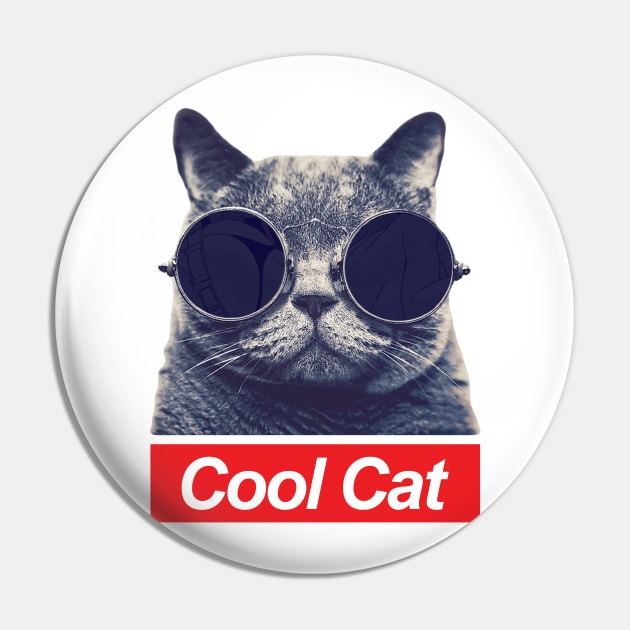 Cool Cat - Box Logo Pin by geekers25