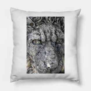 Stern Visage Pillow