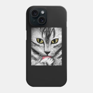 Tabby cat face Phone Case