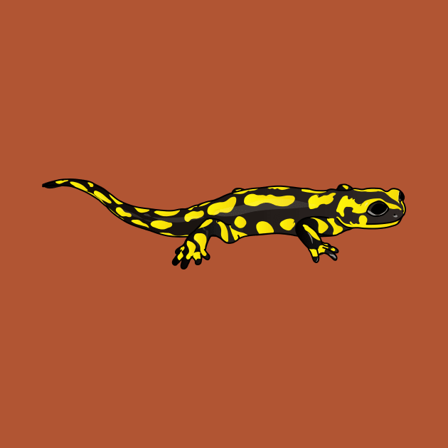 Salamander (Amphibian) by FabuleusePlanete