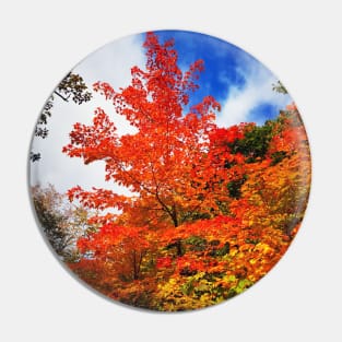 Autumn trees, Indian Summer, Fall - Canada Pin