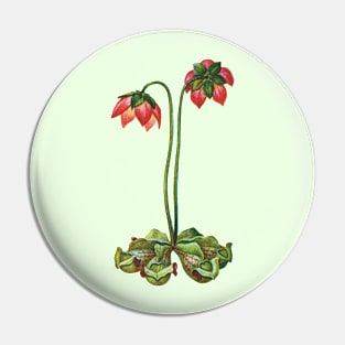 Nature Vintage Botanical Red Flower Plants Pin