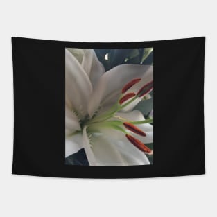 Soothing, Relaxing, Pure White Oriental Lily - For Friendship and Weddings Tapestry