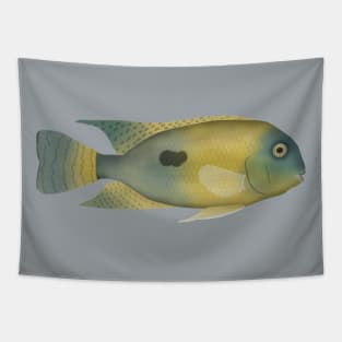 Nicaragua Cichlid Tapestry