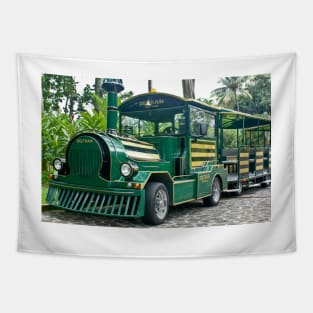 Slb deltrain Tapestry