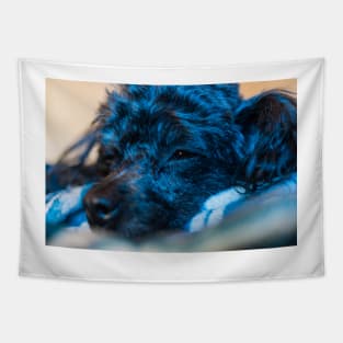 Blue Puppy Tapestry