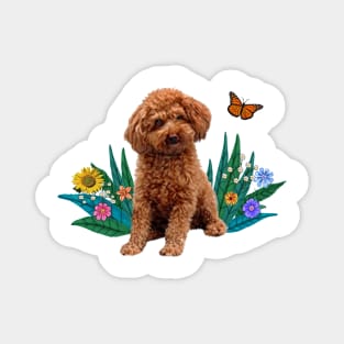 An Apricot Poodle and Butterfly Magnet