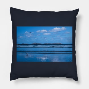 Whisky Bay, Wilson’s Promontory National Park, South Gippsland. Pillow