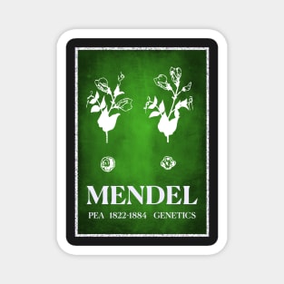 Gregor Mendel Pea and Genetics Magnet