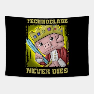 It's been 365 days since we lost technoblade. Technoblade never