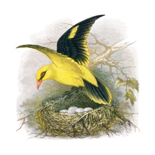 Golden Oriole T-Shirt