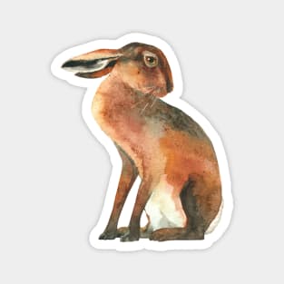 March Hare Waits for Spring Magnet