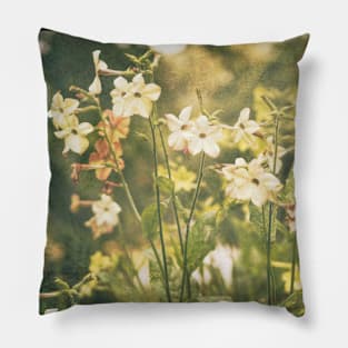 Yellow flowers blooming in a noody garden Pillow