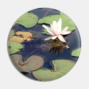 Lispe White Water Lily Pin