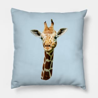 Giraffe stare Pillow