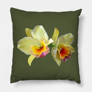 Pale Yellow Cattleya Orchids Pillow