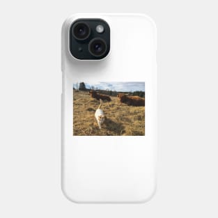 Scottish Highland Cattle Cows and cat 2360 Phone Case