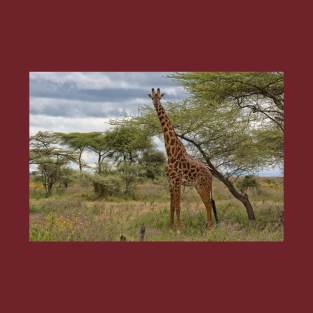 Masai Giraffe T-Shirt