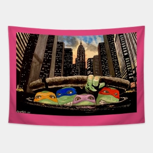 Ninja Turtles Tapestry