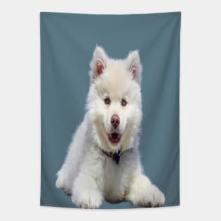 White dog Tapestry