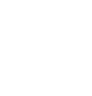 Critic's Pick Magnet