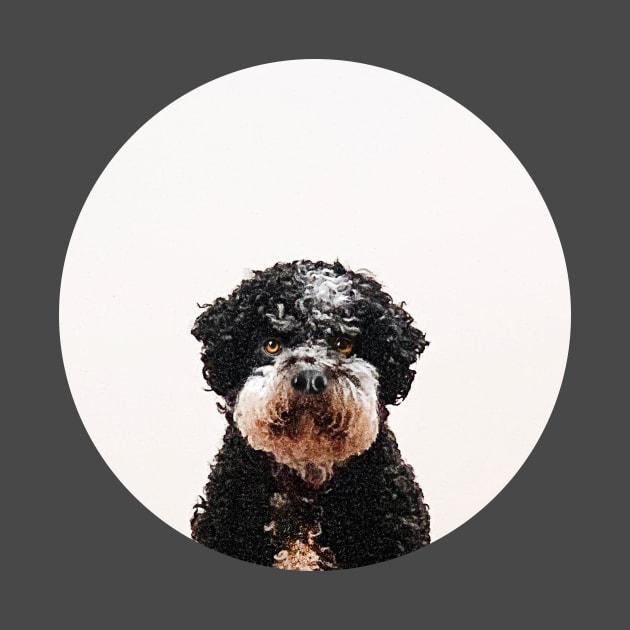 Buster the Havanese Dog by Vin Zzep