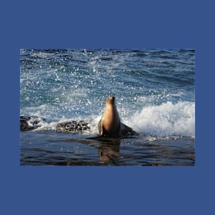 California Sea Lion, Marine Life, Wildlife, Nature T-Shirt