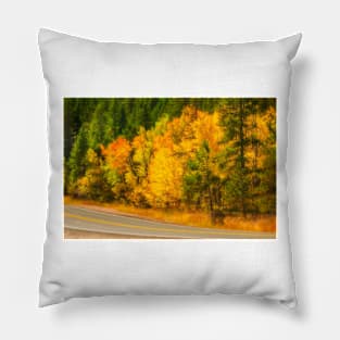 Autumn Yellow Aspen Pillow