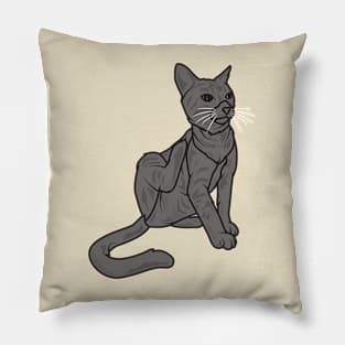 Black Cat Scracthing Pillow