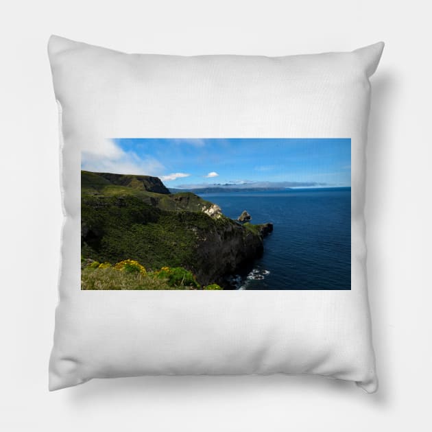 Channel Islands National Park Santa Cruz Island Pillow by supernova23