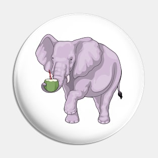 Elephant Coconut Pin