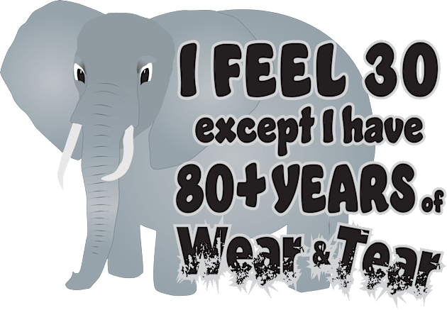 Elephant I Feel 30 80 Wear Tear Kids T-Shirt by KEWDesign