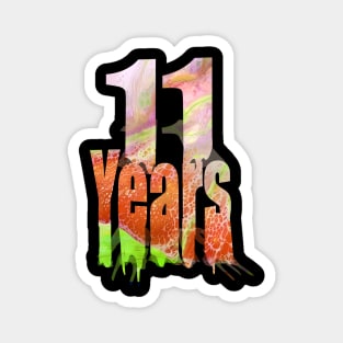 11 years Magnet
