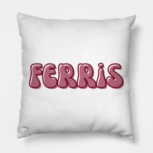 Retro Groovy FSU Pillow