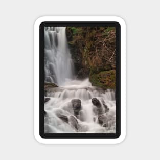 Dickson Falls Magnet