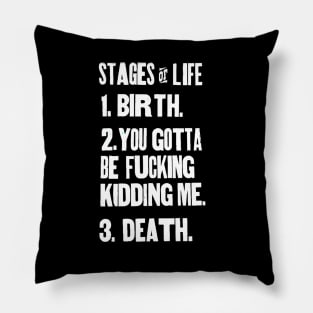 The Stages of Life Pillow