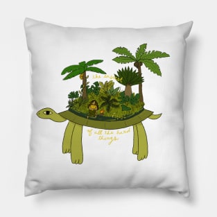 TURTLE ISLAND (EASIEST OF ALL) Pillow