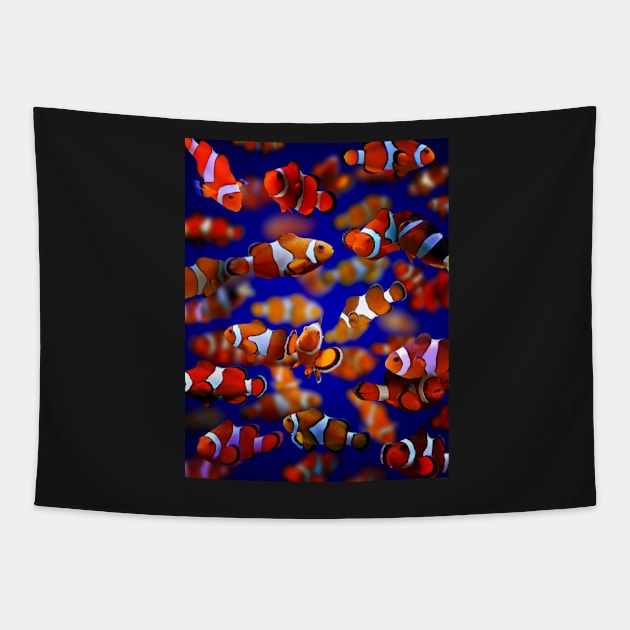 Clown Fish Tapestry by MaxencePierrard