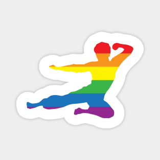 Kung Fu -  fly kick logo LGBT+ rainbow pride colours Magnet