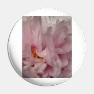 Macro Peony Pin