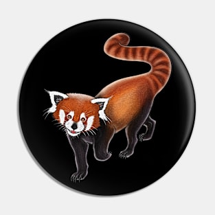 Red panda,red panda lover,cute red panda Pin