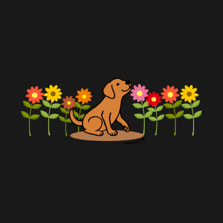 Fox Red Labrador and Flowers T-Shirt