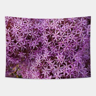 Purple Allium Flowers Tapestry