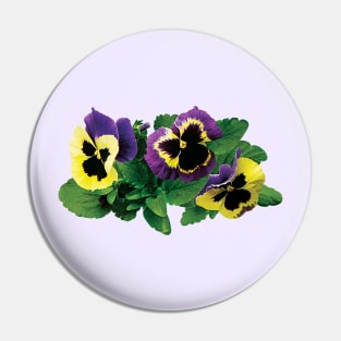 Yellow and Purple Pansy Trio Pin