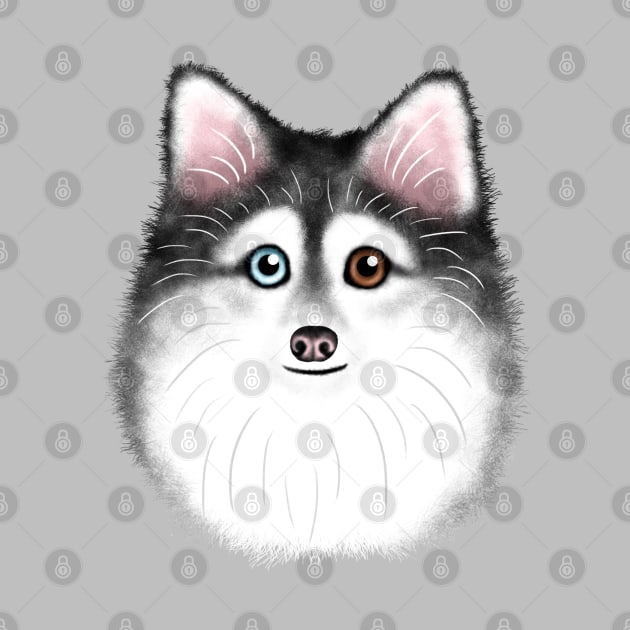 Grey and White Pomsky by illucalliart