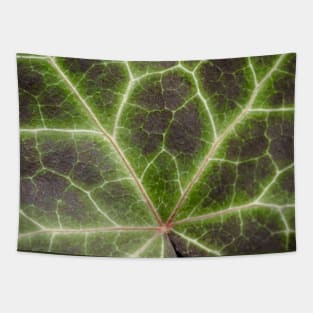 Leaf Lightning. Nature Photography Tapestry